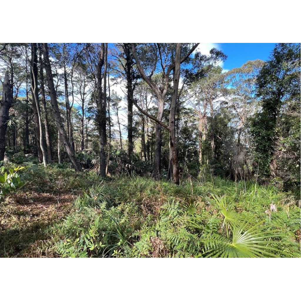 Yes, you can still buy land for less than 100k in the Illawarra but