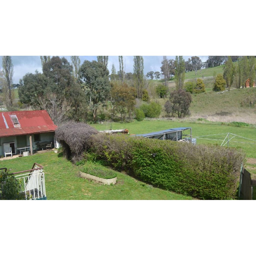 'Sunrise' star buys old Carcoar pub, and reveals her plans to open