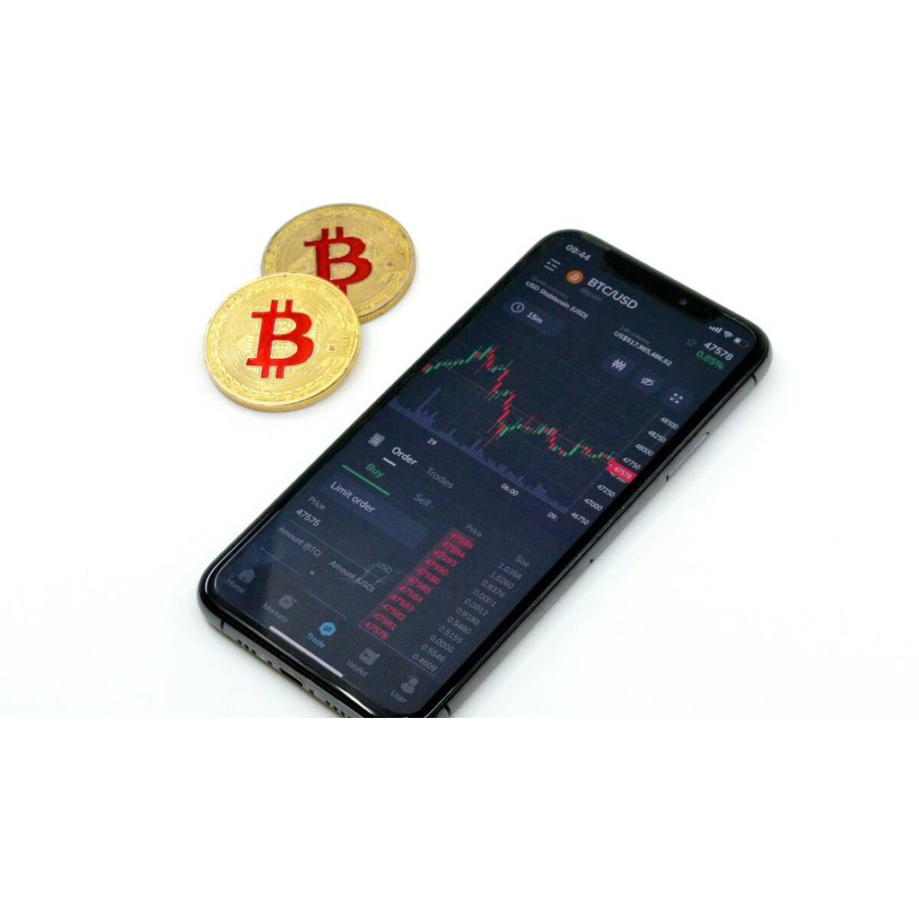 Cash-free real estate up for grabs in this Bitcoin only sale