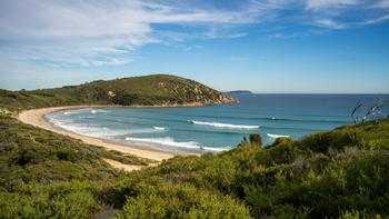 The Australian suburb that ranks among the world's top 10 most dangerous places to live