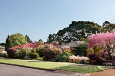 NSW market is gearing up for a strong spring sales season 