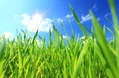 Survey reveals energy efficiency is very important to home buyers
