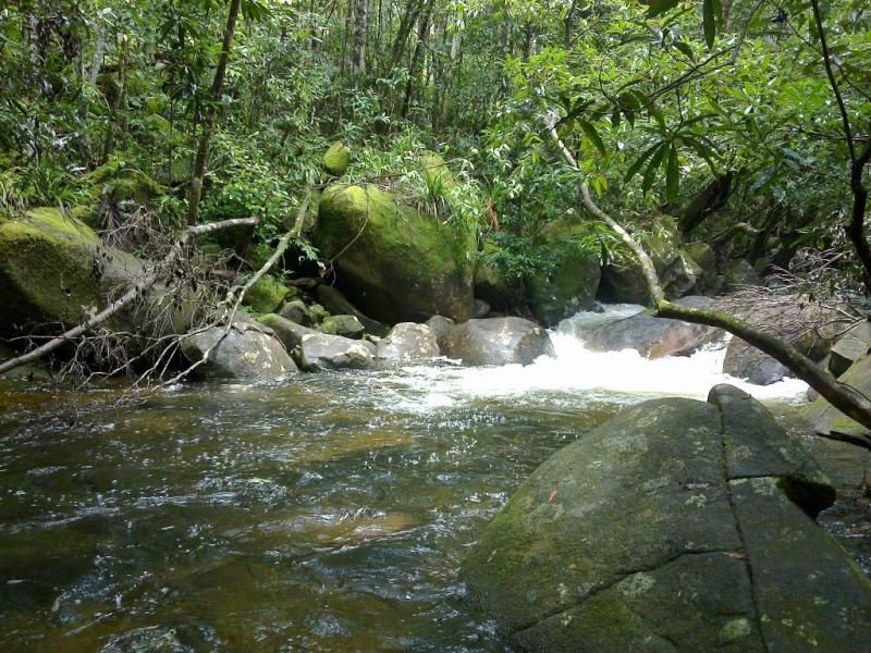 191 Stonewood Road Diwan, Daintree, QLD 4873 for Sale