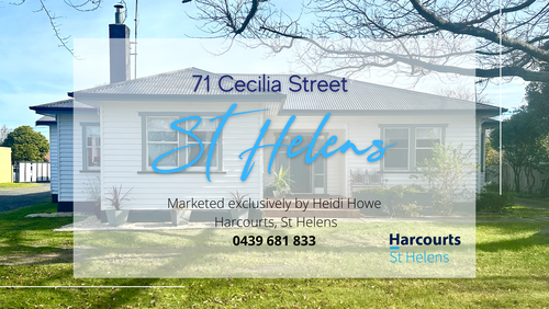 71 Cecilia Street, St Helens, TAS 7216