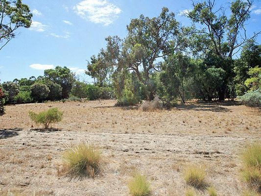 142 Clifton Downs Road, Herron, Wa 6211 Property Details - View.com.au