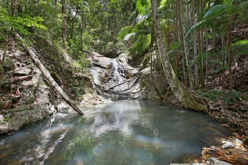 138 Araluen Road, Tallebudgera Valley, QLD 4228