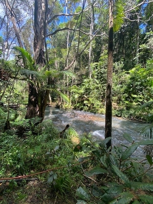 258 Ganyan Drive, Speewah, QLD 4881