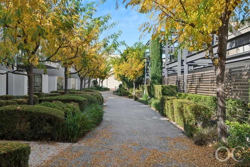 1 William Lane, Adelaide, SA 5000