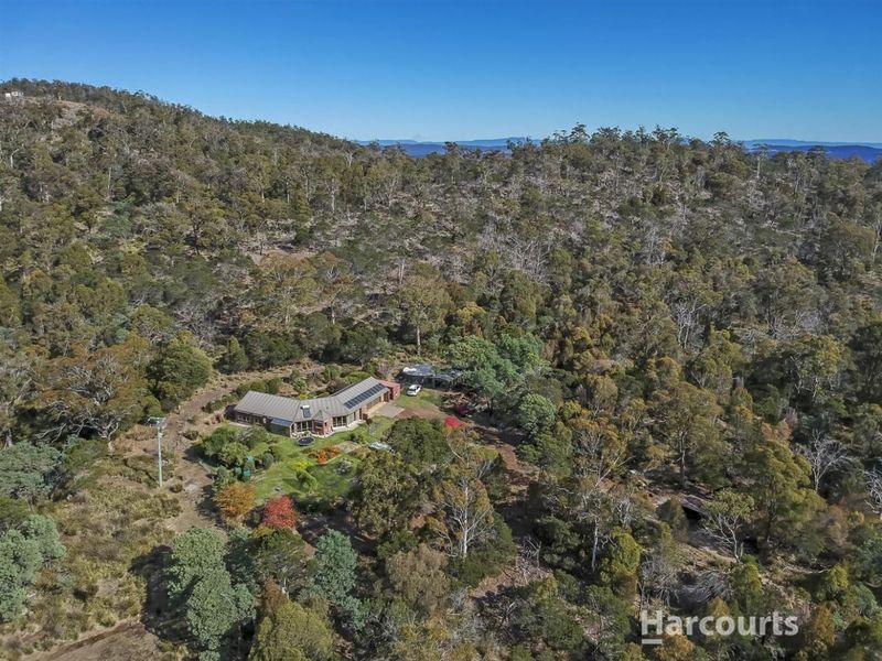 237 Pipers River Road, Turners Marsh, TAS 7267 Property Details view