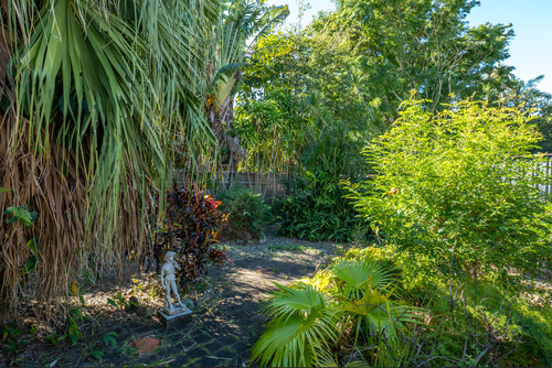 11 Elkhorn Street, Enoggera, QLD 4051