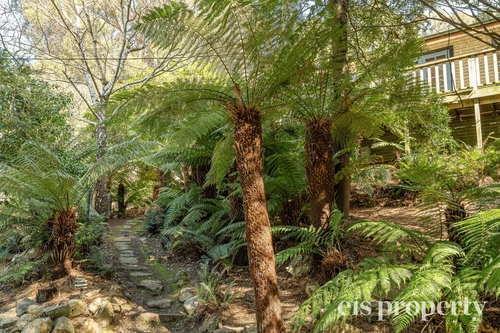 653 Huon Road, Fern Tree, TAS 7054