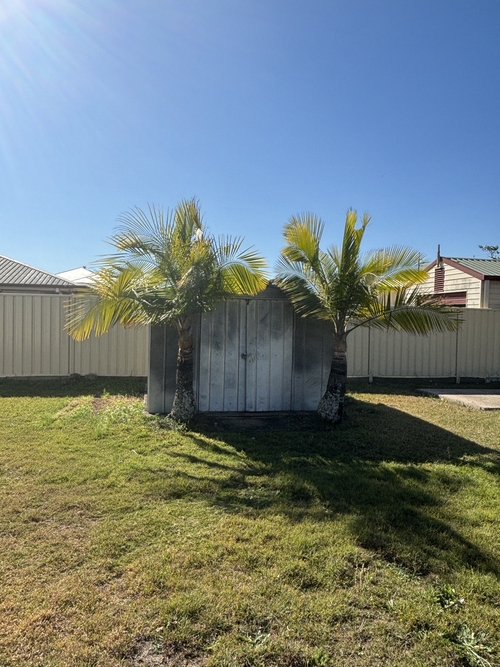 37 Campbell Street, Maryborough, QLD 4650