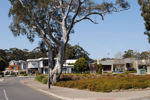 14/2 Freshwater Lane, Mount Barker, SA 5251