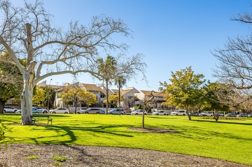 16A Brougham Place, North Adelaide, SA 5006