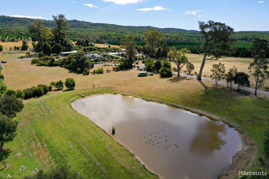 2557 Pipers River Road, Pipers River, TAS 7252 for Sale