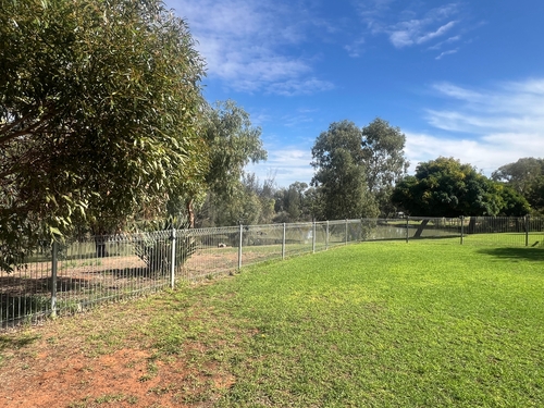 25 Meander Avenue, Renmark, SA 5341