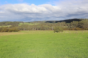 38 Settlers Boundary Road, Tingledale, WA 6333