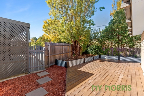 25B Davenport Street, Ainslie, ACT 2602