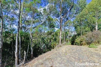 39 Woodcutters Road, Tolmans Hill, TAS 7007