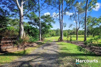 63 Hamanns Road, Apple Tree Creek, QLD 4660