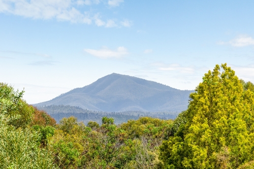234 Princes Highway, Eden, NSW 2551
