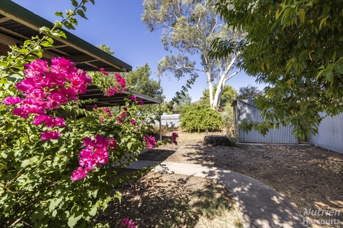 12 Lewis Street, Gillen, NT 0870