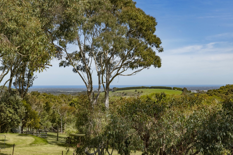 324 Purves Road, Main Ridge, VIC 3928 for Sale