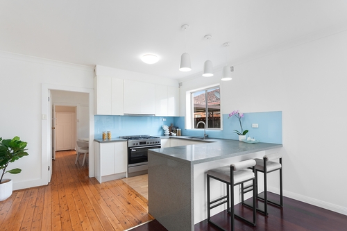 13 David Street, Mascot, NSW 2020