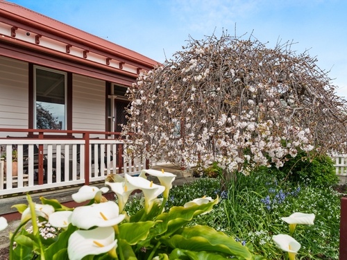 38 King Edward Street, Penguin, TAS 7316
