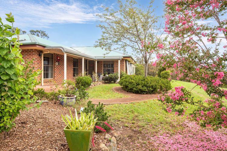 523 Candelo Wolumla Road, Wolumla, NSW 2550 for Sale