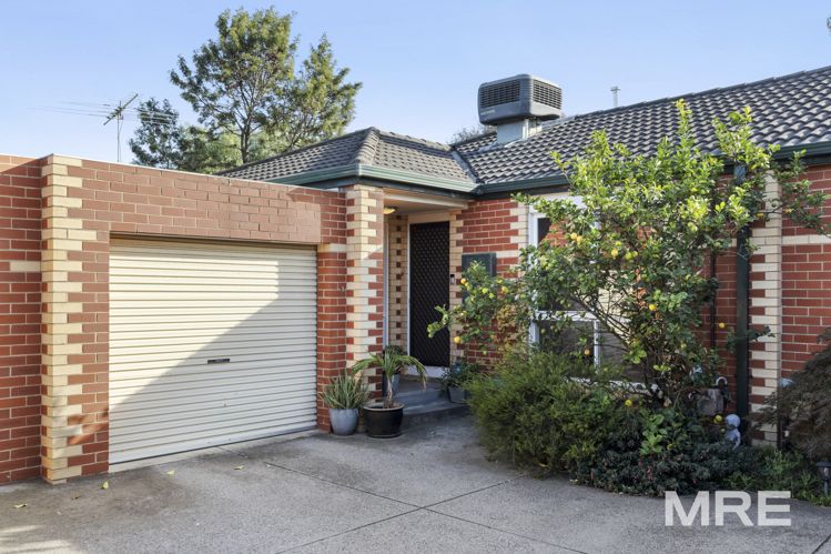3/535 Albion Street