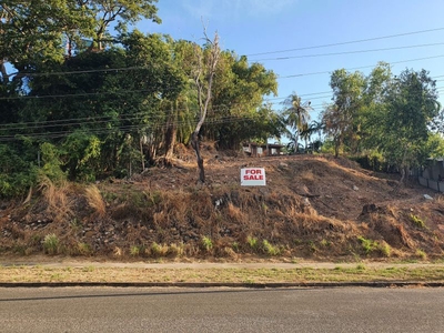 59 Flinders Drive, Stuart Park, NT 0820
