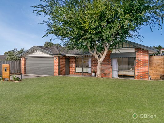 14 harrison court carrum downs