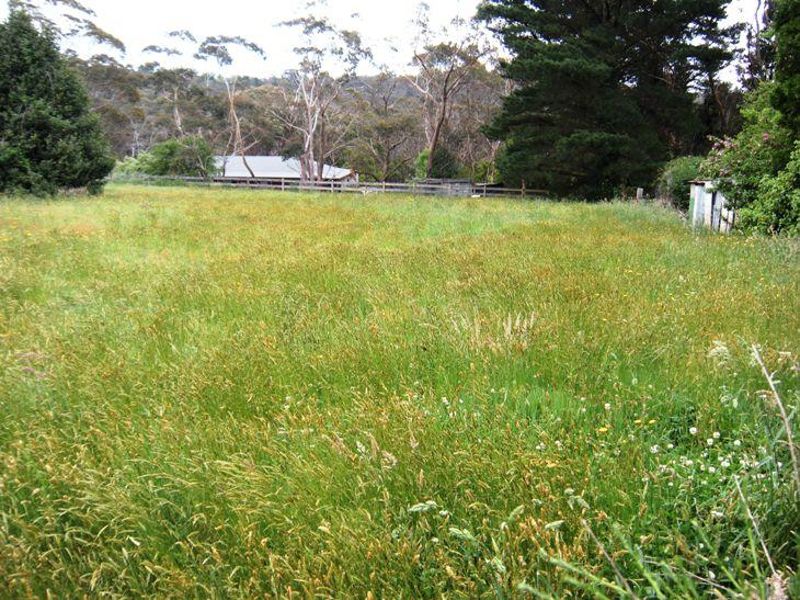 Lot 203 Mccall Ave, Blackheath, NSW 2785 for Sale