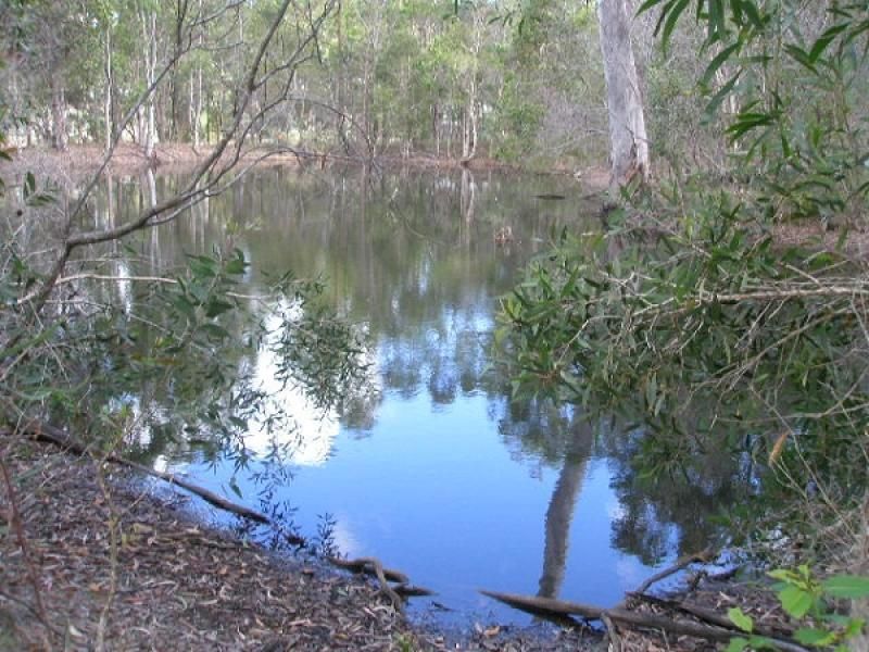 9 Raintree Avenue, Burrum Heads, QLD 4659 for Sale