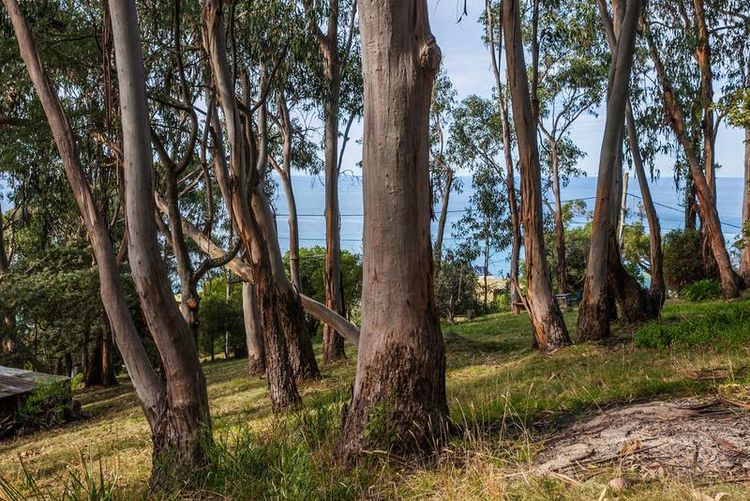 10 Cassidy Drive, River, VIC 3234 for Sale