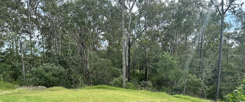 North Ipswich, QLD 4305