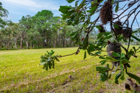 25 Goldsmith Road, Somersby, NSW 2250