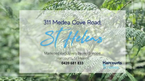 311 Medeas Cove Road, St Helens, TAS 7216