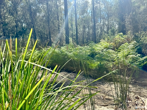 311 Medeas Cove Road, St Helens, TAS 7216
