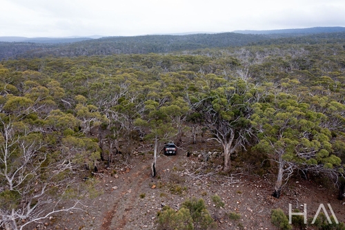 Lot 33 Mcneills Road, Swansea, TAS 7190