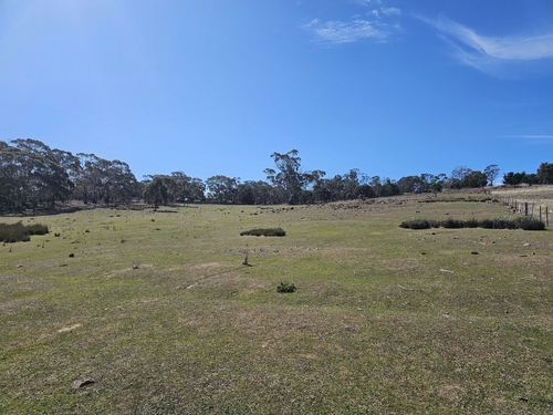 9 Tarleton Street, Swansea, TAS 7190