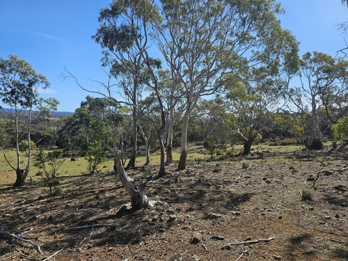 Lot 5 Gordon Street, Swansea, TAS 7190