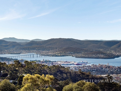 20 Woodcutters Road, Tolmans Hill, TAS 7007