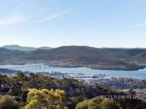 20 Woodcutters Road, Tolmans Hill, TAS 7007