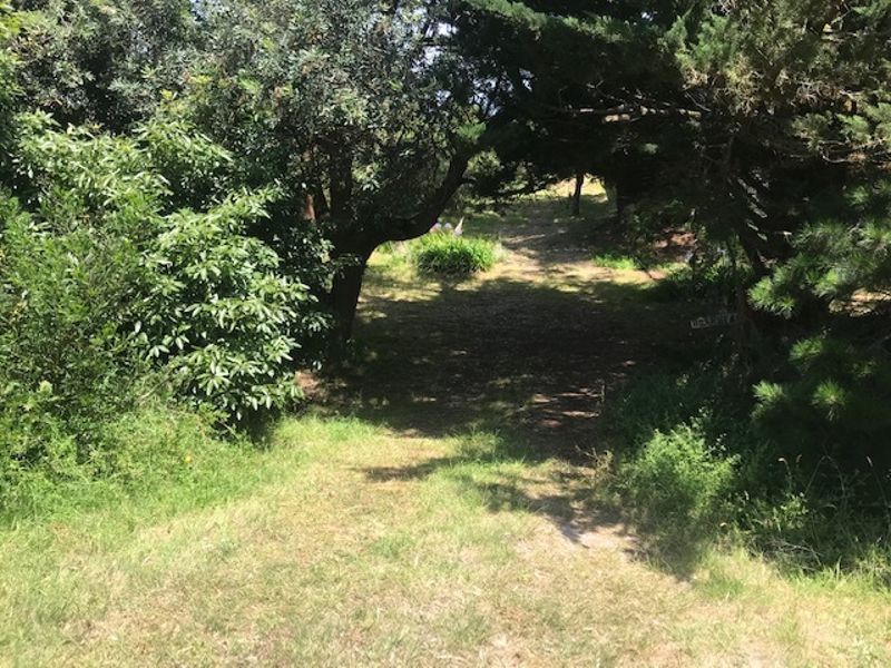 673 Lees Road, Venus Bay, VIC 3956 for Sale