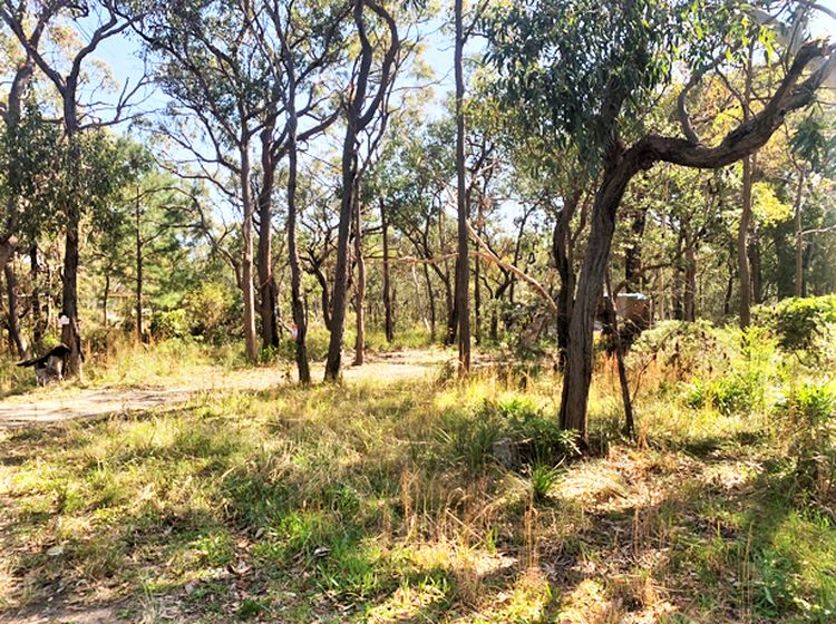 540 Bushells Ridge Road, Wyee, NSW 2259 for Sale