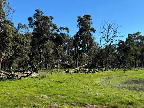 Lot 2339 Cnr Edwards Doyle Road Ambergate, Busselton, WA 6280