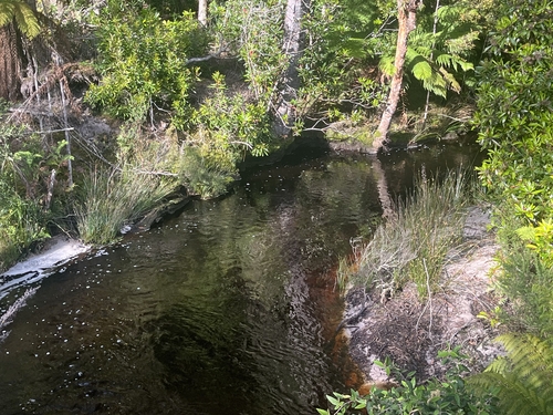 . Wilsons Road, Granville Harbour, TAS 7469