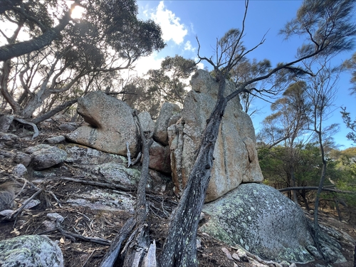 Lot 2 West End Road, Leeka, TAS 7255
